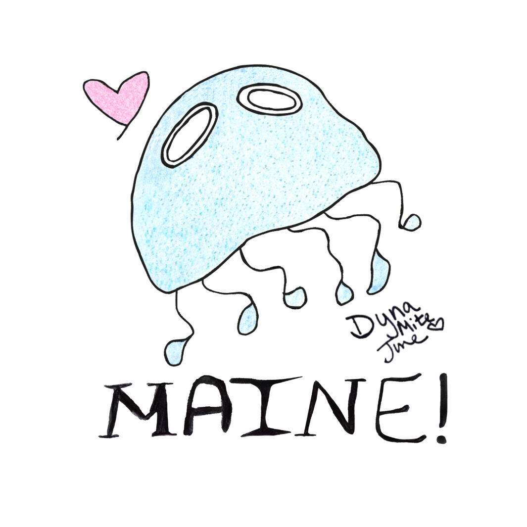 Maine Jellyfish