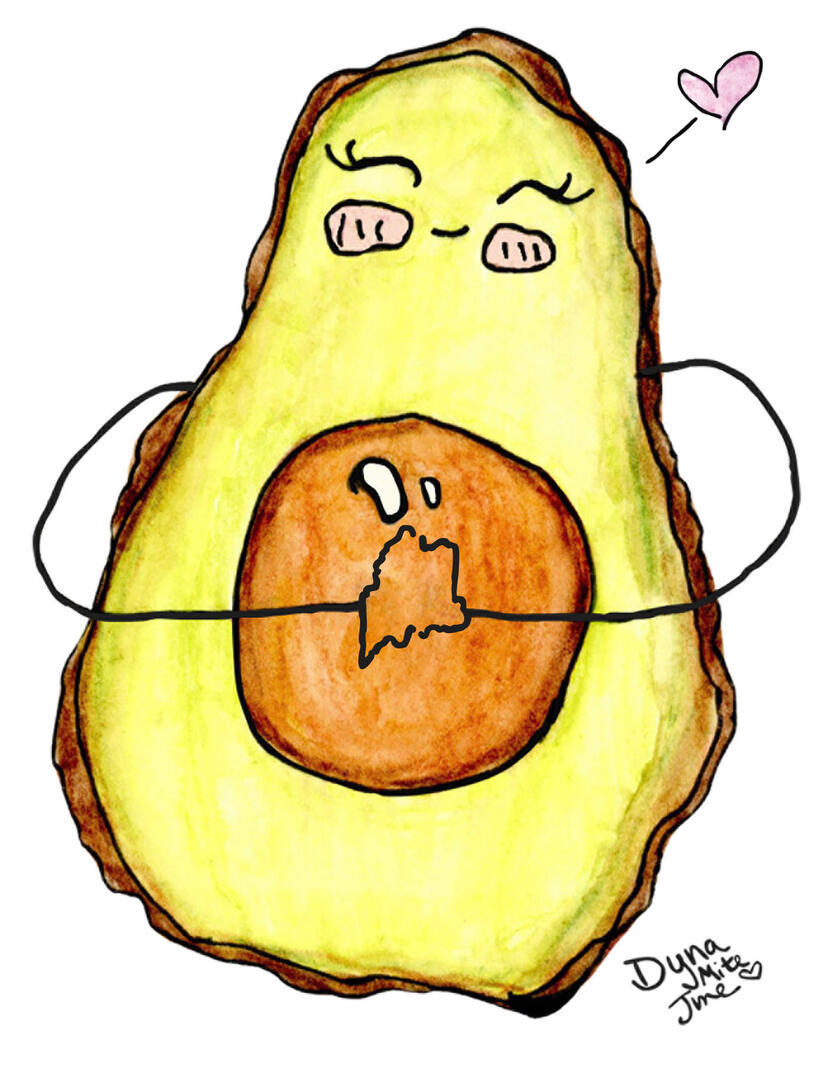 Maine Avocado